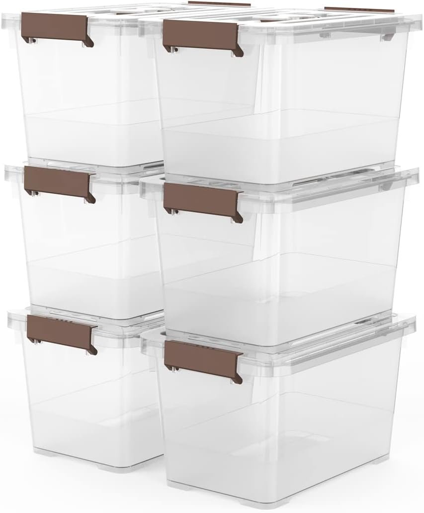 WYT 6-Pack Clear Storage Latch Box Review